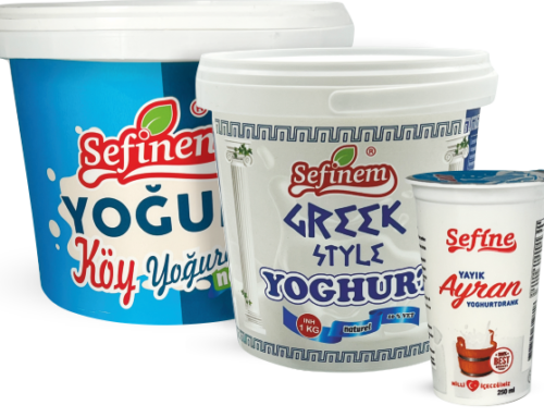 De Ongelooflijke Voordelen van Yoghurt: Een Perfecte Optie voor een Gezond Dieet